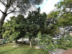 Radiance @ Bukit Timah (D21), Terrace #588124791